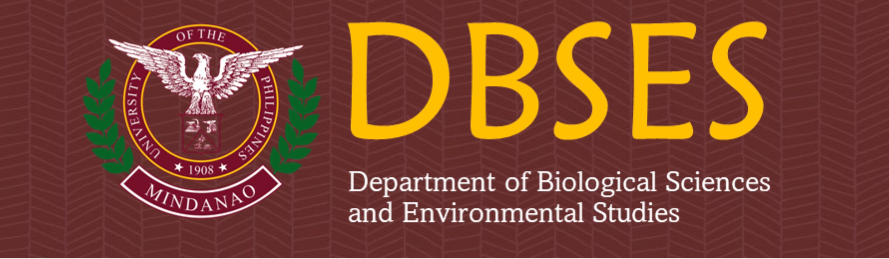 DBSES BANNER